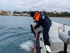 Dal porto al garage di casa: Guardia costiera scopre furto di oltre 150 litri di gasolio “agevolato”