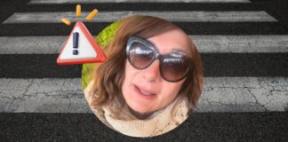 Incidente Vladimir Luxuria