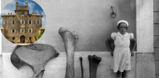 Ritrovamento dei resti di un Mammut durtante la bonifica dell'Infernetto. Foto del Principe Francesco Chigi della Rovere. Su autorizzazione dell'Istituto centrale per il catalogo e la documentazione. MIC