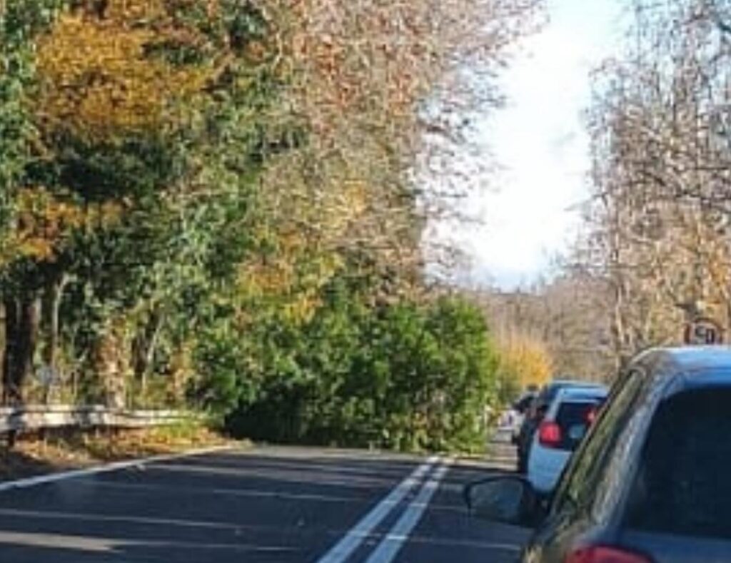 Albero cade su una panchina a Roma, la 45enne Francesca Ianni muore schiacciata 1