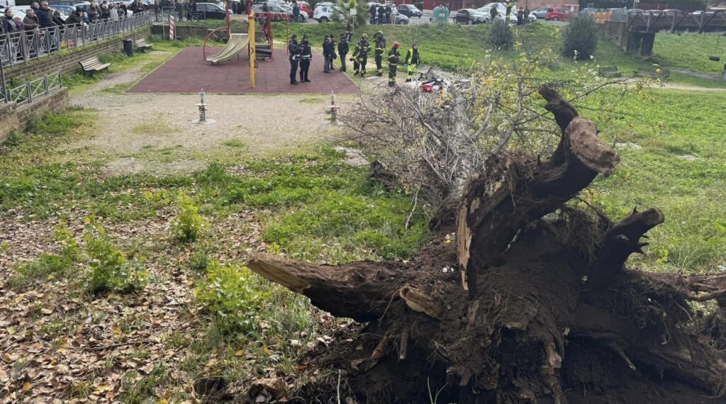 Tragedia nel parco a Roma: c'è un indagato per il crollo del pioppo che ha ucciso Francesca Ianni 1