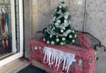 Ostia, rubano l'albero di Natale davanti a un negozio. La proprietaria: "Dispiaciuta per il gesto"