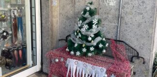 Ostia, rubano l'albero di Natale davanti a un negozio. La proprietaria: "Dispiaciuta per il gesto"