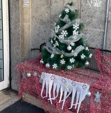 Ostia, rubano l'albero di Natale davanti a un negozio. La proprietaria: "Dispiaciuta per il gesto"