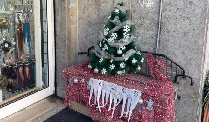 Ostia, rubano l'albero di Natale davanti a un negozio. La proprietaria: "Dispiaciuta per il gesto"