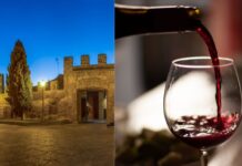 Degustazioni gratuite e incontri per conoscere il vino: il programma degli appuntamenti a Cerveteri