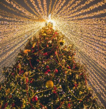 Natale a Civitavecchia tra nevicate, spettacoli e parate: il programma