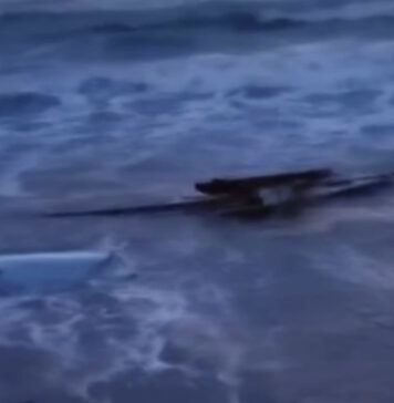 Peschereccio affondato a Focene: i relitti sulla spiaggia cancellano ogni speranza (VIDEO)