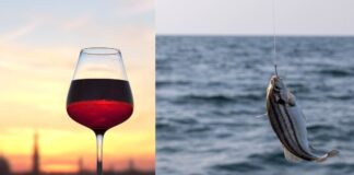 Santa Marinella celebra il gusto con "Fish & Wine": un weekend di sapori con le eccellenze del territorio