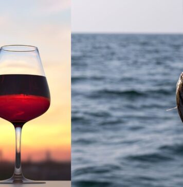Santa Marinella celebra il gusto con "Fish & Wine": un weekend di sapori con le eccellenze del territorio