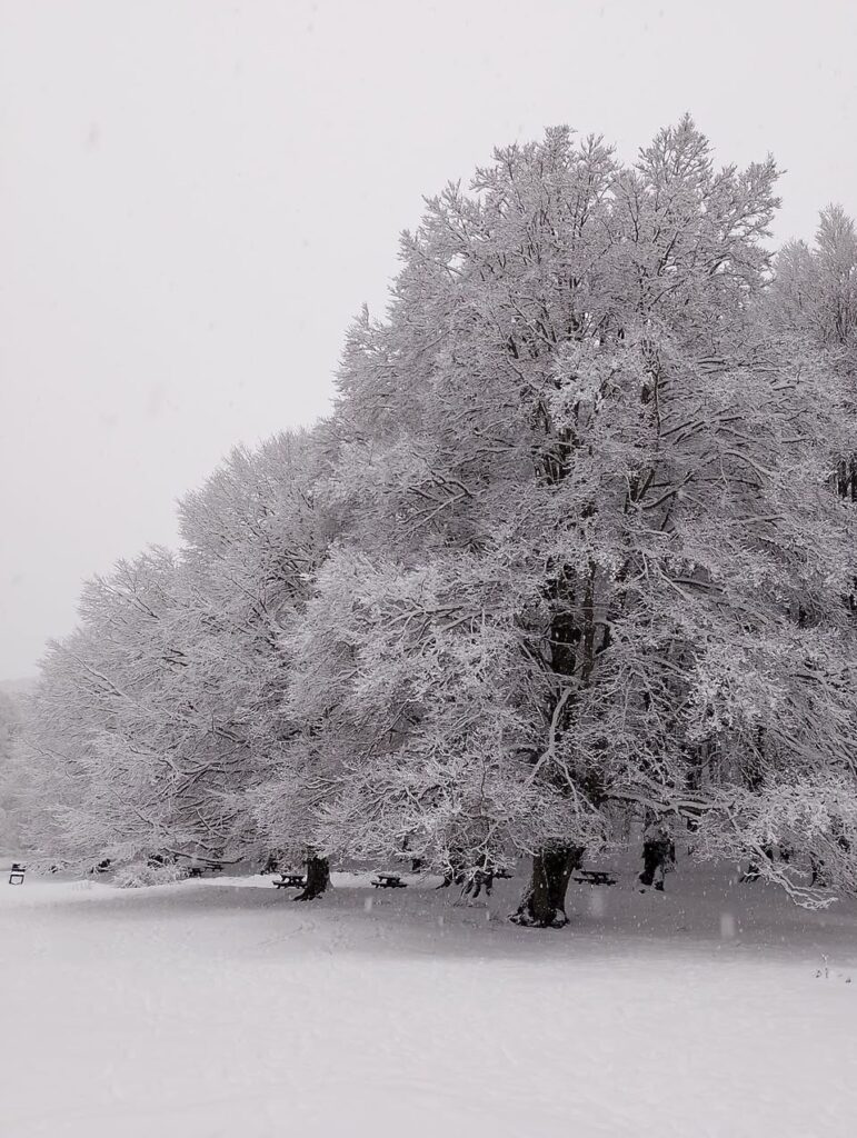 Neve: Monte Livata si imbianca, la montagna di Roma è pronta per l'inverno 1