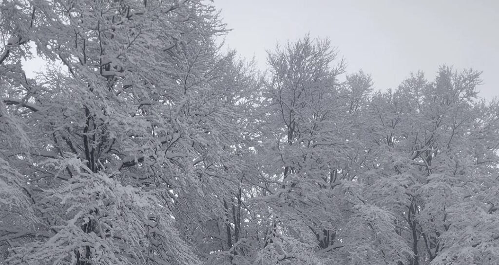 Neve: Monte Livata si imbianca, la montagna di Roma è pronta per l'inverno 2