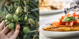 Festa dell’Olio Nuovo 2024 a Cerveteri: degustazioni, showcooking e tradizioni nella XV edizione