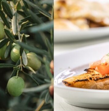 Festa dell’Olio Nuovo 2024 a Cerveteri: degustazioni, showcooking e tradizioni nella XV edizione