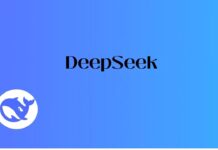 DeepSeek