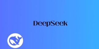 DeepSeek