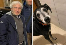 Finale tragico dopo le ricerche degli scomparsi alla Bufalotta: Renato Canonico e il suo cane sono stati trovati senza vita