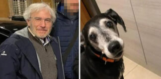 Finale tragico dopo le ricerche degli scomparsi alla Bufalotta: Renato Canonico e il suo cane sono stati trovati senza vita