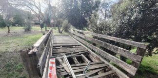 Infernetto, parco Riserva Verde ancora nel degrado: i residenti tornano a chiedere interventi