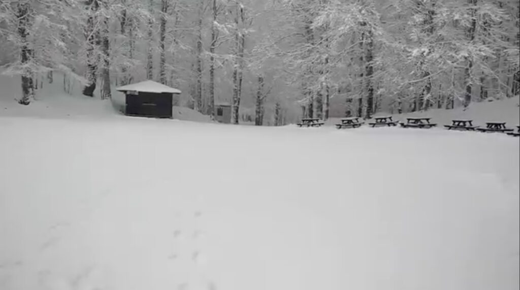 Spettacolo Monte Livata con 40 centimetri di neve: impianti aperti (VIDEO) 1