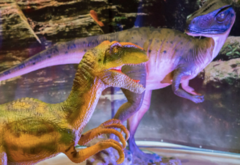 Apre il parco dei dinosauri ad altezza naturale: l'esperienza immersiva del "Jurassic Tour" nel cuore dell'Eur 1