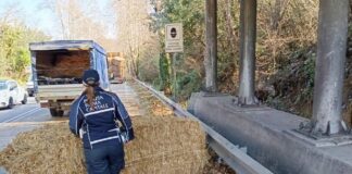 Incidente sulla via del Mare tra camion e auto: balle di fieno sulla strada, lunghe code
