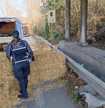Incidente sulla via del Mare tra camion e auto: balle di fieno sulla strada, lunghe code