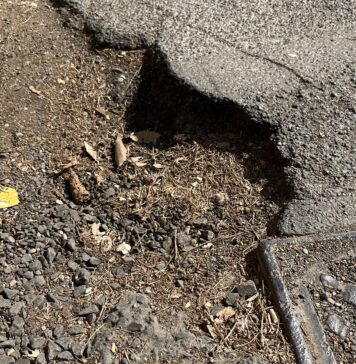 Fregene, nuovo asfalto su due strade in zona sud: come cambia la viabilità