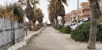 Masi (FdI): "Pista ciclabile di Ostia ancora invasa dalla sabbia nonostante la morte del ciclista"