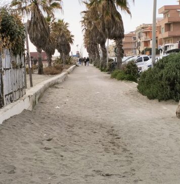 Masi (FdI): "Pista ciclabile di Ostia ancora invasa dalla sabbia nonostante la morte del ciclista"