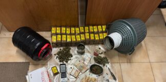 Infernetto, il cane Faro non si lascia stordire e sniffa 9 kg di droga tra le damigiane di vino