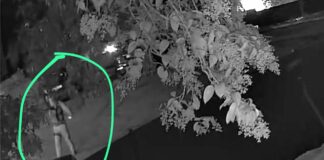 Ladro ucciso a Roma, vigilante ribadisce: "Legittima difesa"