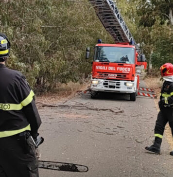 Allumiere, si perde nella macchia mediterranea: intervengono Vigili del fuoco