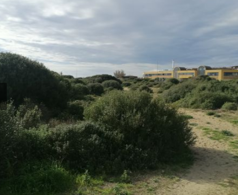 a parco del mare nuovo parcheggio interno