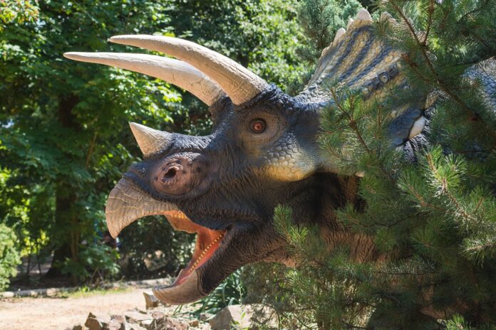 dinosauri
