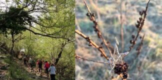 Appuntamenti nella Natura: relax e passeggiate dal litorale all'hinterland romano