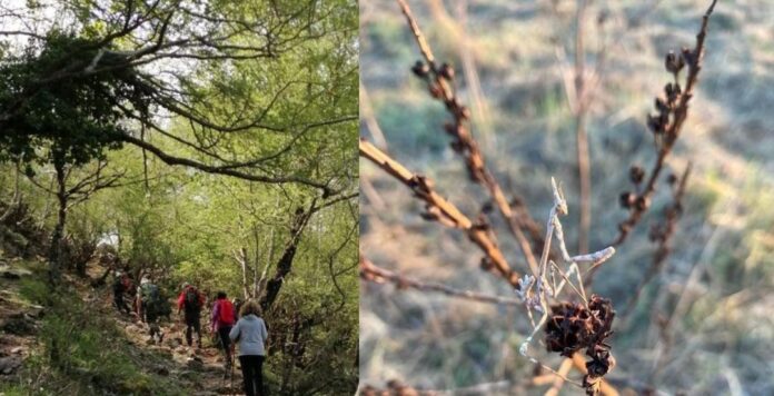 Appuntamenti nella Natura: relax e passeggiate dal litorale all'hinterland romano