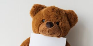 peluche