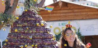 "Sagra del carciofo romanesco" di Ladispoli al via: il programma completo degli eventi