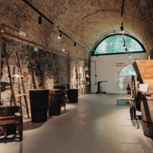 Monte Porzio Catone, gita fuoriporta tra storia, sapori, astronomia e orchidee 3