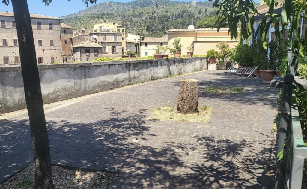 Tivoli come Roma, abbattuti gli alberi in piena nidificazione: esplode la protesta 2