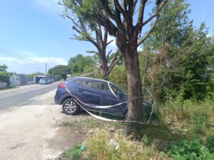 Donna morta a Fregene: sul corpo i segni delle coltellate, auto messa sotto sequestro 1