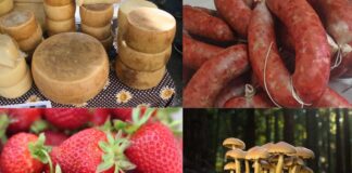 Sagre nel Lazio dal 16 al 18 maggio: dalle pizzette fritte alle fragole, viaggio indimenticabile tra i sapori dei borghi