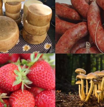 Sagre nel Lazio dal 16 al 18 maggio: dalle pizzette fritte alle fragole, viaggio indimenticabile tra i sapori dei borghi