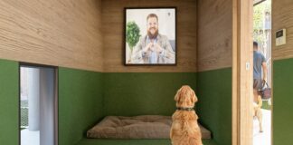 Animali, all'aeroporto di Fiumicino il primo "Dog Relais" in Italia