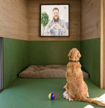Animali, all'aeroporto di Fiumicino il primo "Dog Relais" in Italia