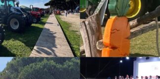 Torna la Festa della Carota di Maccarese: il programma della due giorni dedicata al famoso prodotto locale