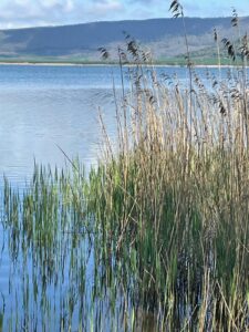 Visitare Caprarola, nella città del "Pentagono": viaggio tra lago, arte e profumo di nocciole 3