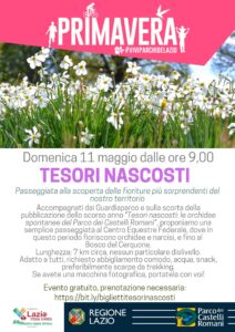 Parco dei Castelli Romani svela i suoi "Tesori Nascosti": passeggiata gratuita e guidata tra orchidee e narcisi in fiore 1 Parco dei Castelli Romani svela i suoi "Tesori Nascosti": passeggiata gratuita e guidata tra orchidee e narcisi in fiore 1
