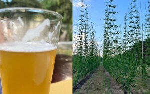 Birre curiose e food a km zero alla Festa del Podere, alle porte di Roma La località è Testa di Lepre, comune di Fiumicino - Canaledieci.it